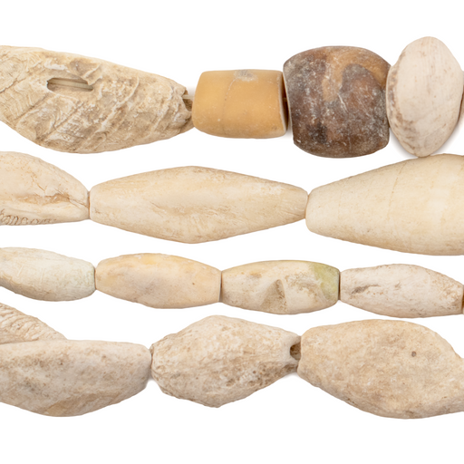 Ancient Sea Shell Beads - The Bead Chest
