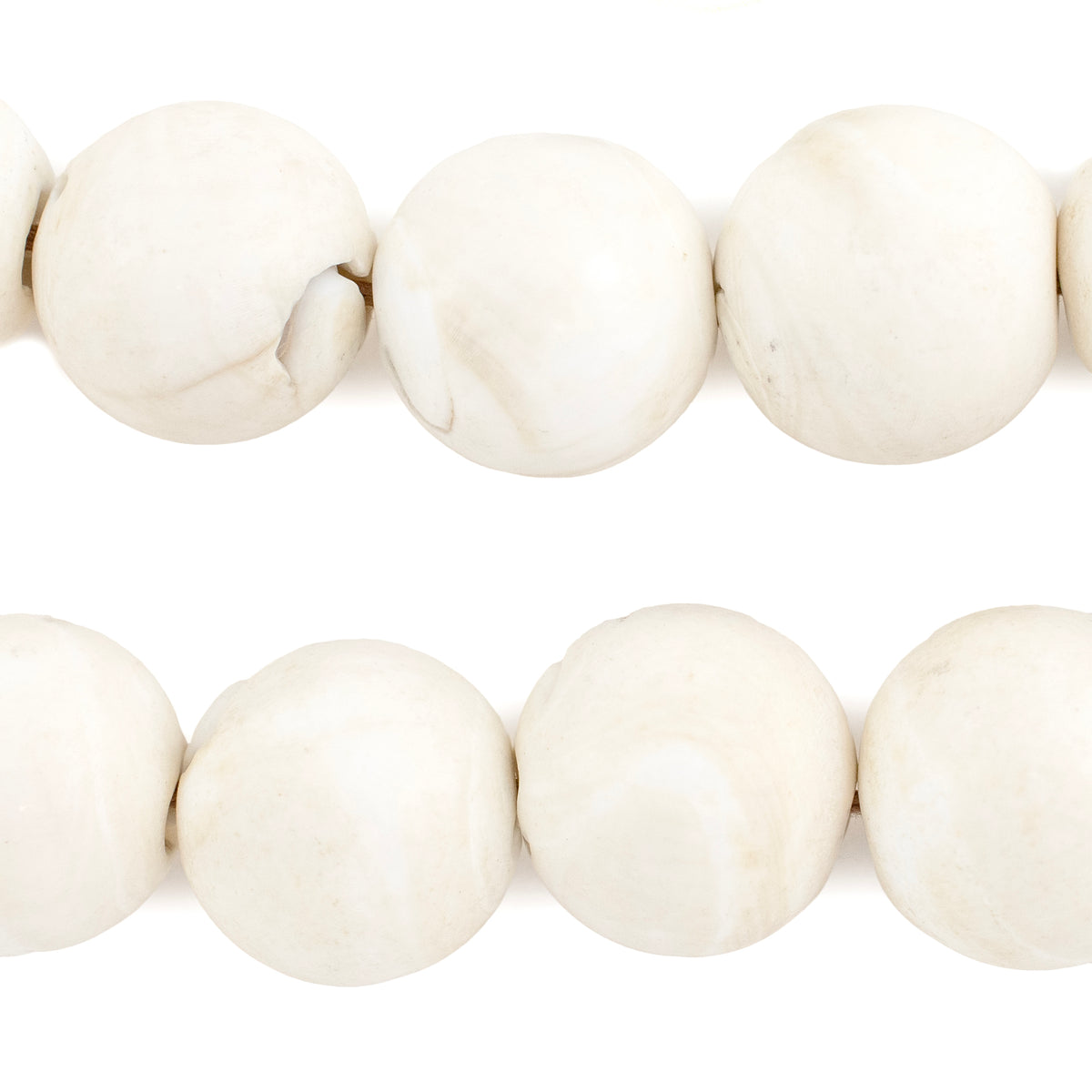 White Naga Conch Shell Beads (18mm) — The Bead Chest