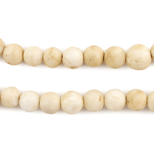 Round Cream Shell Beads (5mm)