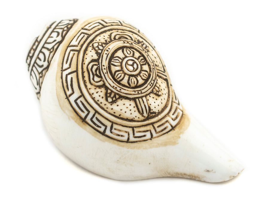 Carved Ashtamangala Conch Shell (Wheel of Dharma) - The Bead Chest