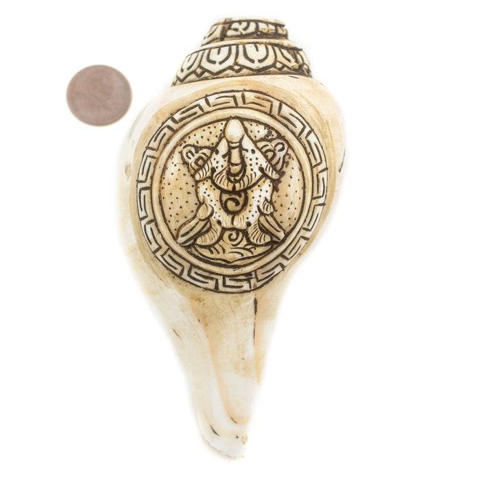 Carved Ashtamangala Conch Shell (Golden Fish) - The Bead Chest