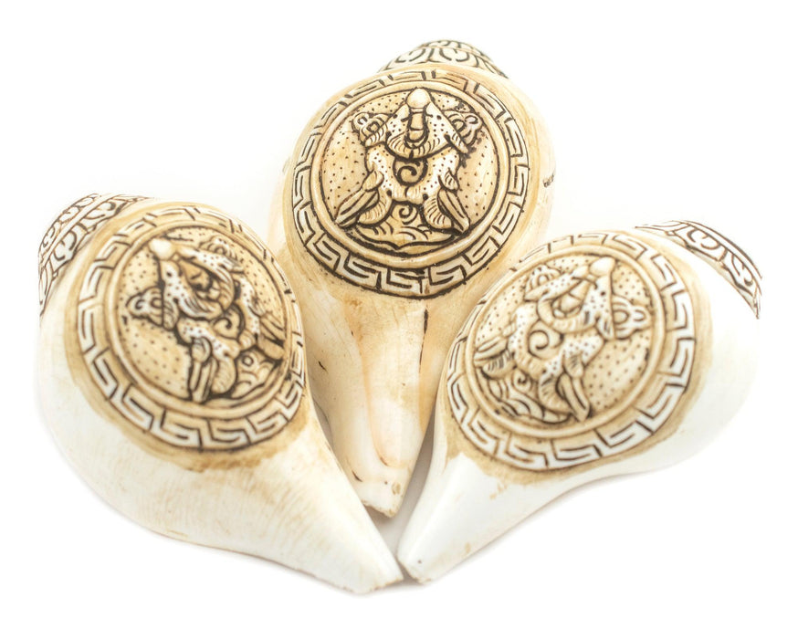 Carved Ashtamangala Conch Shell (Golden Fish) - The Bead Chest